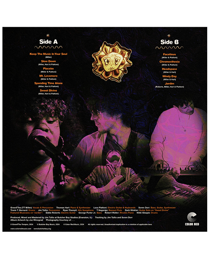 Tempoetic album limited edition vinyl record by GreenTTea & the Tempos